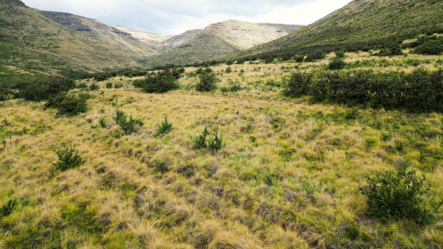 4 Bedroom Property for Sale in Lady Grey Eastern Cape